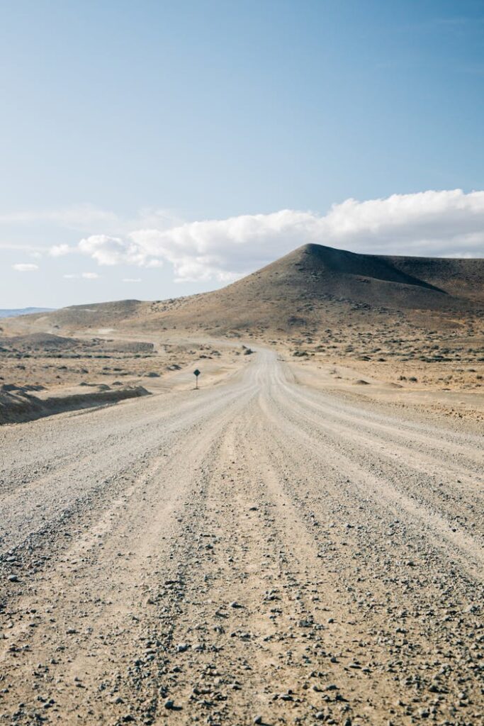 A long, empty dirt road stretches through a scenic, arid desert landscape in Argentina under a clear blue sky.